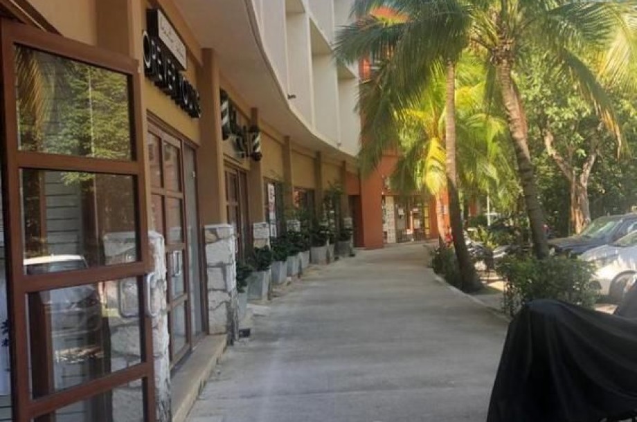 Local en Renta 103 | Paseo Playacar-5